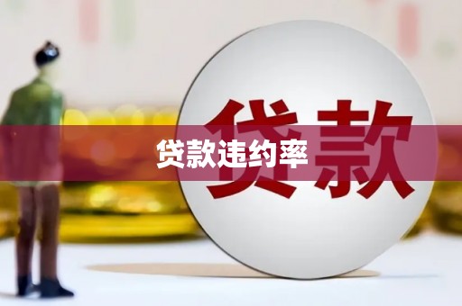 新化贷款违约率