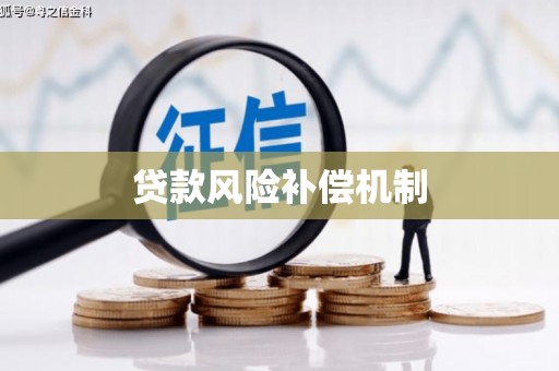 新化贷款风险补偿机制