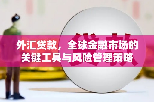 新化外汇贷款，全球金融市场的关键工具与风险管理策略