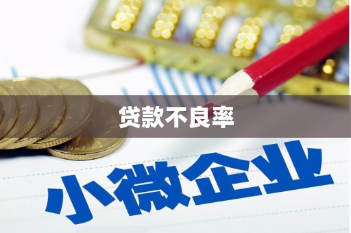 新化贷款不良率