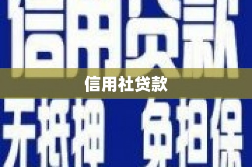 新化信用社贷款