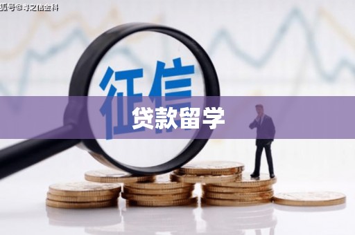 新化贷款留学