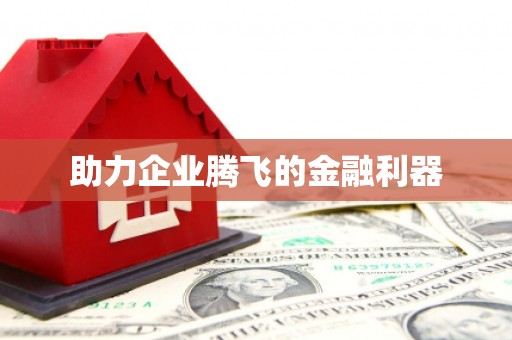 新化助力企业腾飞的金融利器