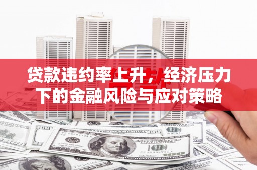 新化贷款违约率上升，经济压力下的金融风险与应对策略