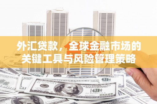 新化外汇贷款，全球金融市场的关键工具与风险管理策略