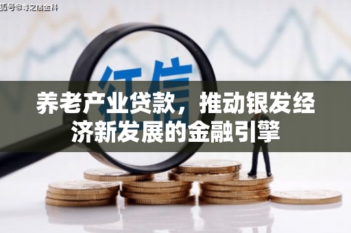新化养老产业贷款，推动银发经济新发展的金融引擎