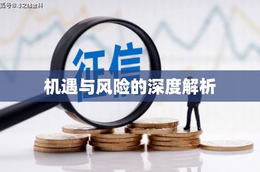 新化机遇与风险的深度解析
