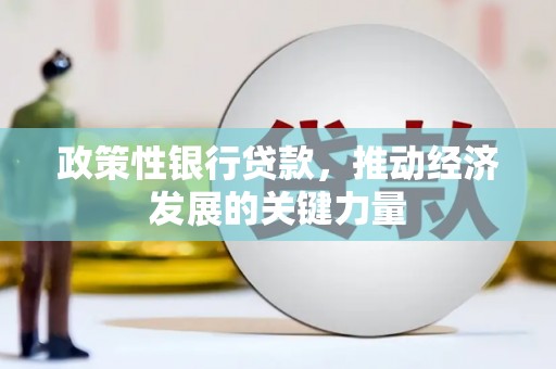 新化政策性银行贷款，推动经济发展的关键力量
