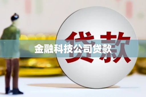 新化金融科技公司贷款