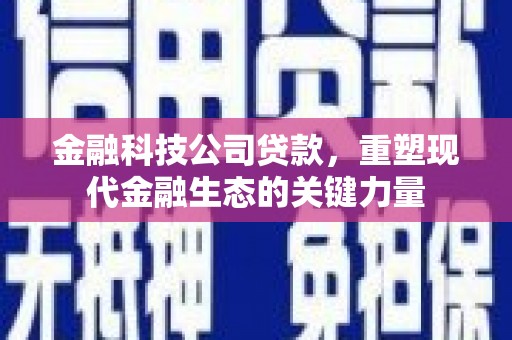 新化金融科技公司贷款，重塑现代金融生态的关键力量