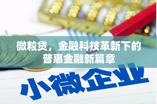 新化微粒贷，金融科技革新下的普惠金融新篇章