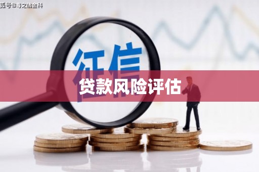 新化贷款风险评估