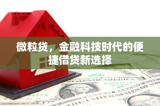 新化微粒贷，金融科技时代的便捷借贷新选择