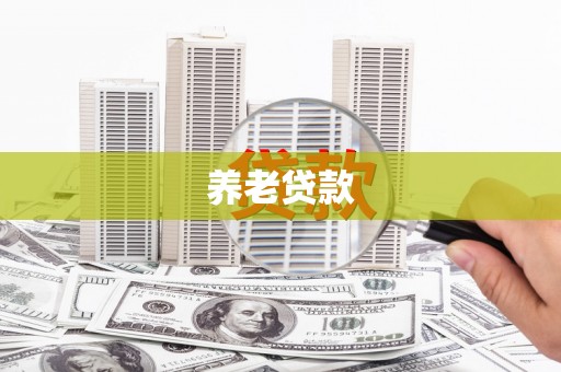 新化养老贷款