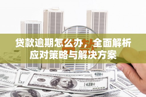新化贷款逾期怎么办，全面解析应对策略与解决方案