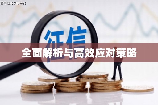 新化全面解析与高效应对策略