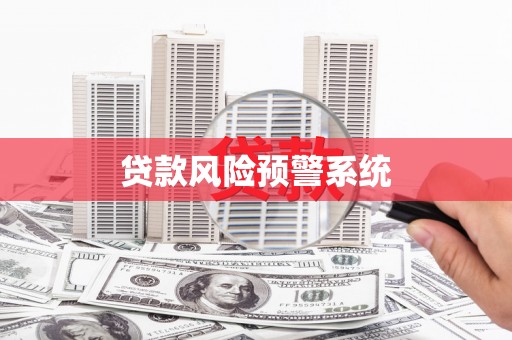 新化贷款风险预警系统